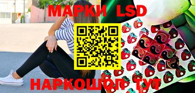 индика Ипатово