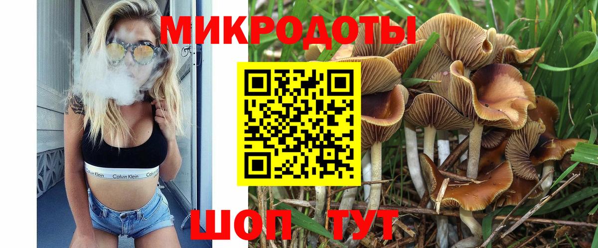 Псилоцибиновые грибы мицелий Кулебаки
