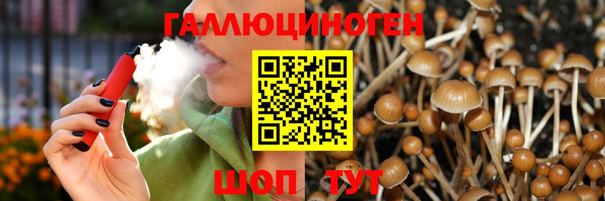 Галлюциногенные грибы мицелий  Вход с VPN  Галлюциногенные грибы GOLDEN TEACHER  Кулебаки 